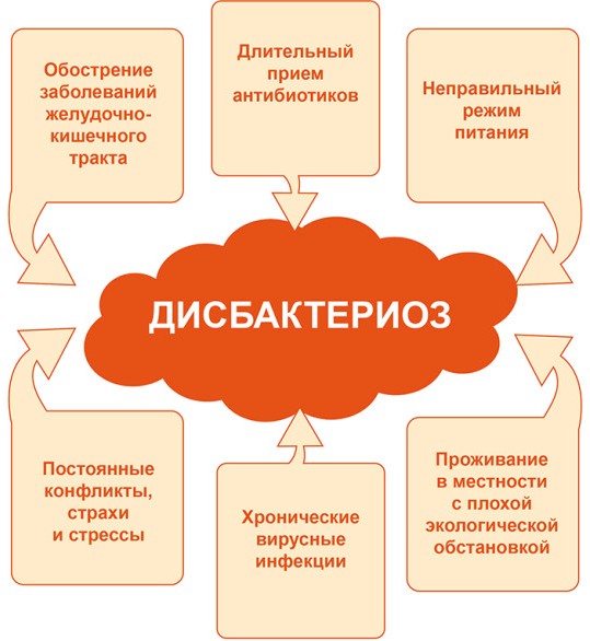 Вот самые основные причины, которые вызывают дисбактериоз у взрослых