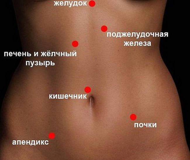 Желудок расположен в верхней трети живота